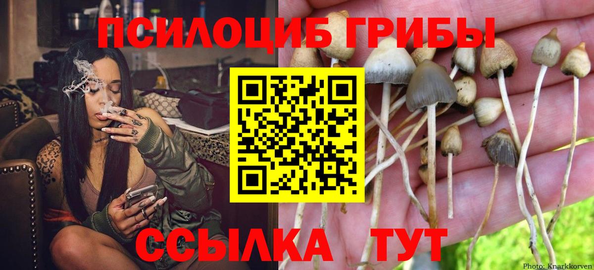 Галлюциногенные грибы прущие грибы  Вход с VPN  Мелеуз  Псилоцибиновые грибы мицелий 